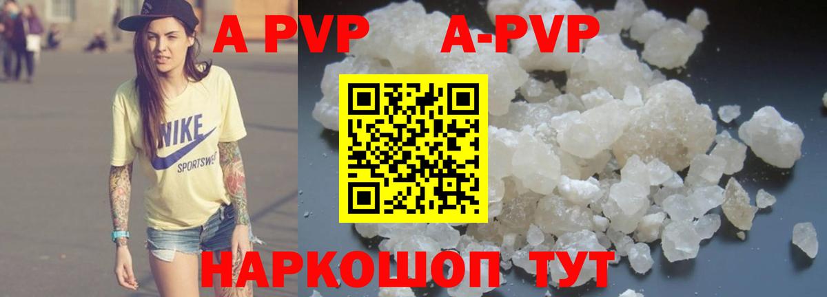 Альфа ПВП СК КРИС Кисловодск