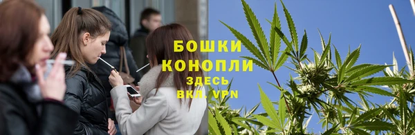 дживик Надым