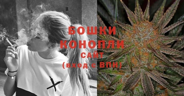 дживик Надым