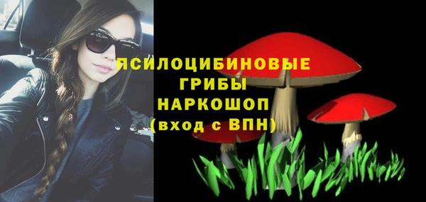 дживик Надым
