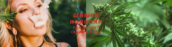 дживик Надым
