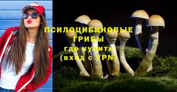 дживик Надым