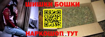 эйфоретик Кингисепп