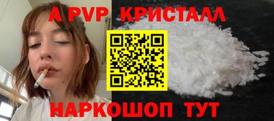 эйфоретик Кингисепп