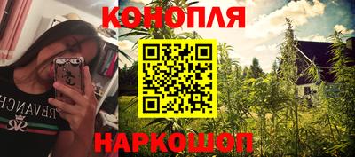 эйфоретик Кингисепп