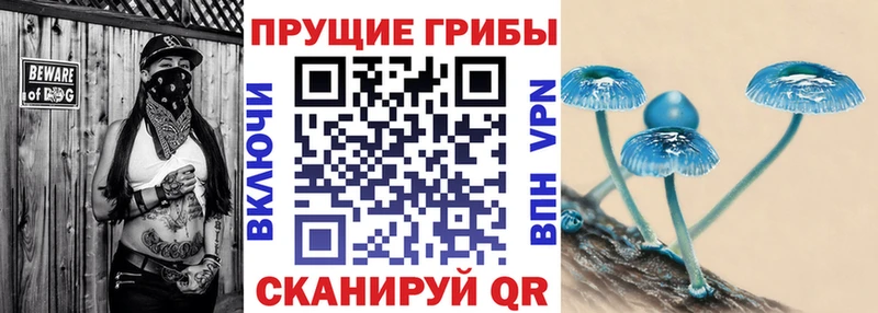 продажа наркотиков  Кисловодск  мега рабочий сайт  Галлюциногенные грибы мухоморы 